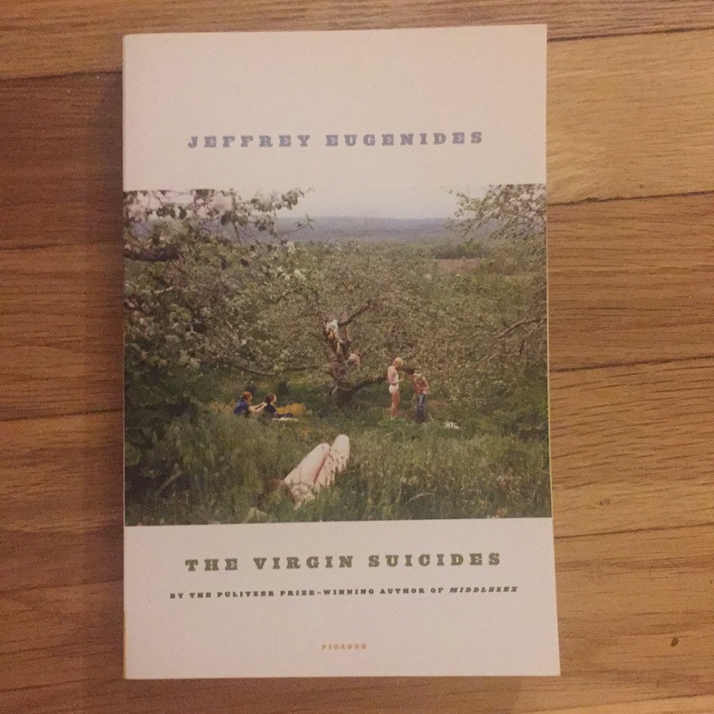 The Virgin Suicides by Jeffrey Eugenides